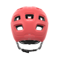 10517_Tectal_1734_AmmoliteCoralMatt.0004.png