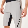 FREE RIDE LINED SHORT SZARE 3.jpg