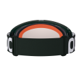 40251_Ora_9630_PargasiteGreen_ClarityTrail_CloudyBrown_4.png