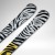 SAVAGE PISTE KONECT NX12 5.jpg